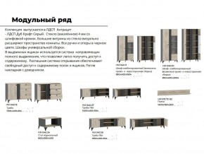 Гостиная Отис Дуб Крафт Серый/Антрацит в Нижнем Тагиле - nizhnij-tagil.magazinmebel.ru | фото - изображение 5