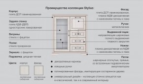 Прихожая модульная Стилиус в Нижнем Тагиле - nizhnij-tagil.magazinmebel.ru | фото - изображение 2