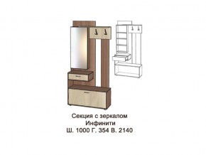 Секция с зеркалом в Нижнем Тагиле - nizhnij-tagil.magazinmebel.ru | фото